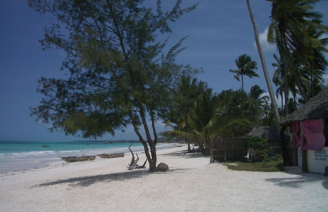 Kamili View Apartment in Zanzibar - Photo 58