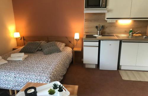 La Féclaz Ski aux pieds Grand Studio Tout confort - Foto 4