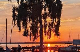 Seeliebe, 300 Meter zum Wasser, mit Terrasse und Garten - Foto 71