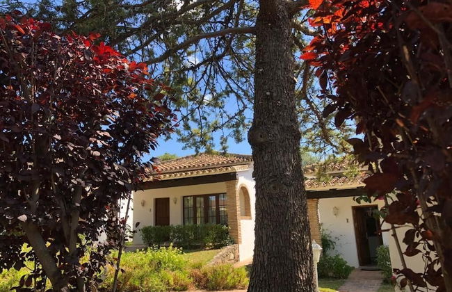 TOTTAM EXPERIENCE - Foto 67