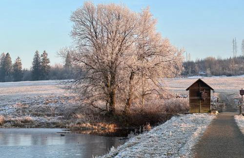 Harz Apartment 'Storchennest' mit Seeblick - Bubo am See - Photo 34