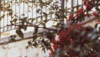 Domo de Ciu Nenneddu - Foto 3