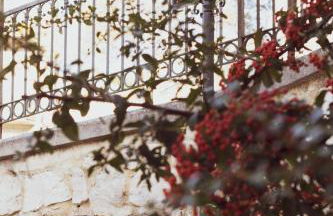 Domo de Ciu Nenneddu - Foto 3