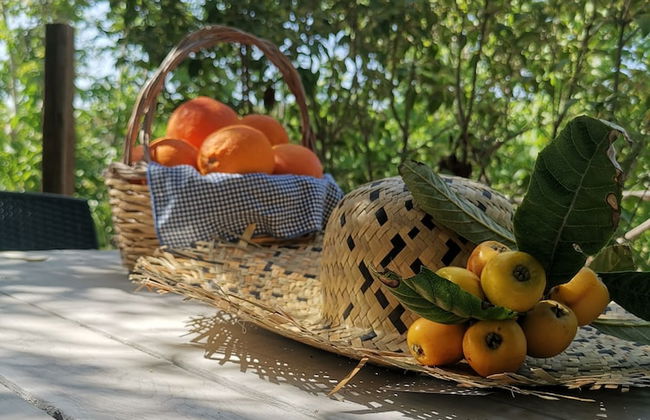 La Fattoria dei Nonni Resort dell'Etna - Foto 15