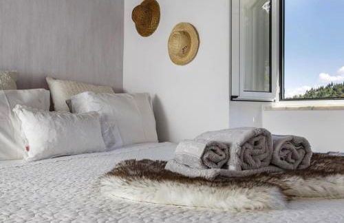 Casa Do Bispo pereiro,Arganil - Foto 7