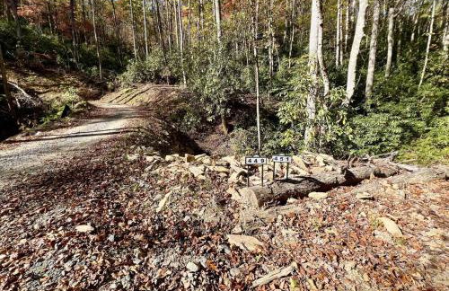Creek side Mountain Perfect for Families ,We are just 5 to 7 minutes from the entrance of Pisgah Forest, where you ll find many rivers and waterfalls - Foto 54