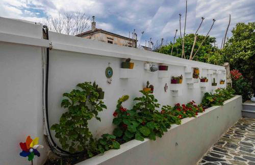 Sappho Studios - Foto 43