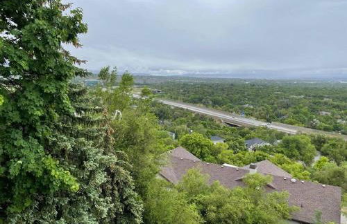 Luxury Alpine Treehouse - Foto 21