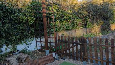 Finca Las Abuelas - Foto 2, Garden, Garden view