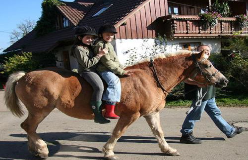 Franzenhof Markhart - Photo 64