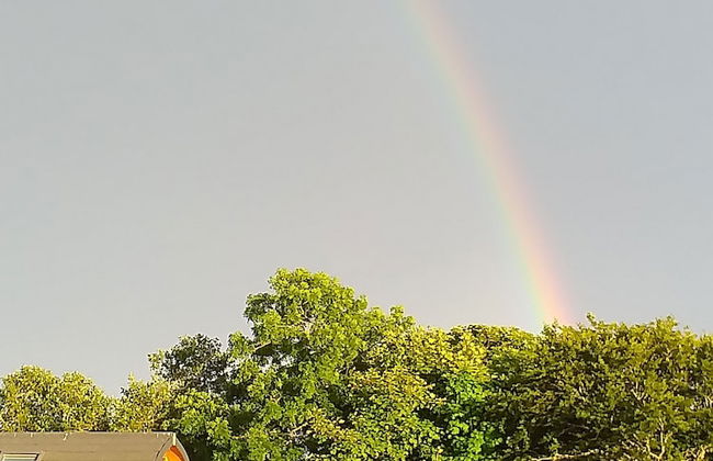 North Star Glamping - Photo 30