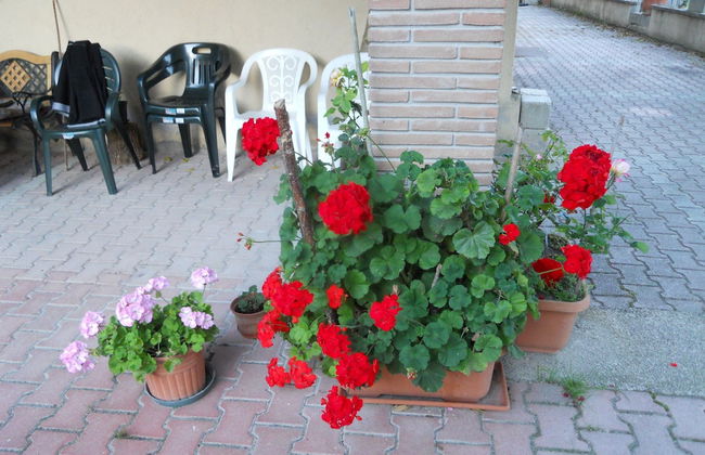 Agriturismo Monti Sibillini Camperato - Photo 18