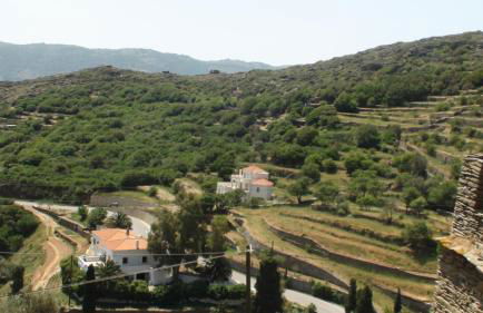 Petra Traditional House - Foto 81