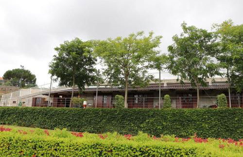 Vale de Rans - Country House - Foto 10