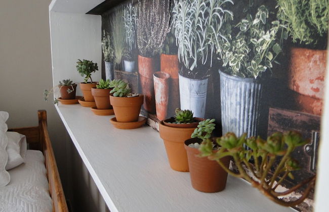 Aalkies Dream Luxurious Selfcatering - Foto 19