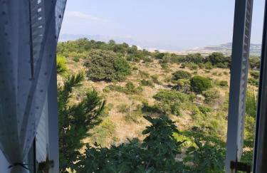 Apartments Silver - Photo 38