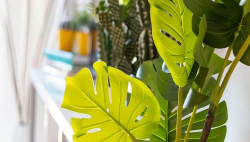 NEW ZAFIRO Centro Sta Cruz, wifi&gym - Foto 3