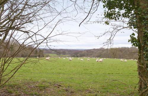 Gooseberry Lodge - Foto 10