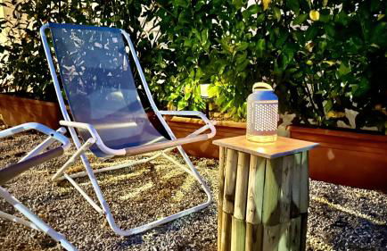 The Dream - Photo 19