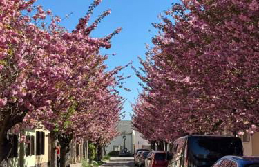 Südfrankreich bei Berlin - Photo 32