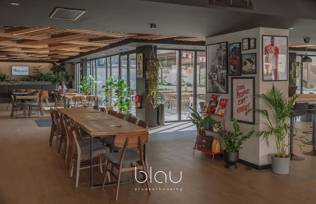 BLAU Student Housing & Language Academy - Foto 44