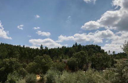 Thistle Cottage Alojamento Local - Foto 14