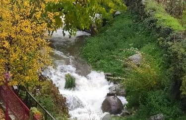 Dona Irene AL - Foto 59