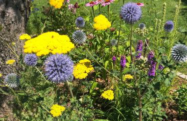 110qm Countryside Loft - Foto 53