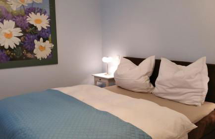 ferienhaus-raju-zeltingen - Foto 46