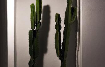 Greco Mare - Foto 13