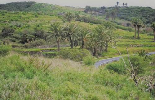 Finca Ulises Las Hayas - Foto 37