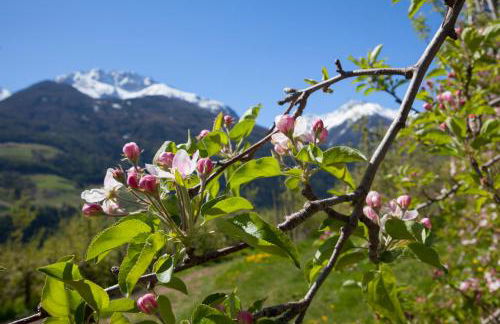 Residence Feldhof - Foto 27