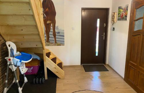 Nasz Dom Pilchy - Foto 28