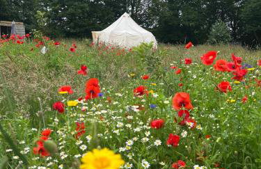 Beautiful Bell Tent Stay - Foto 23