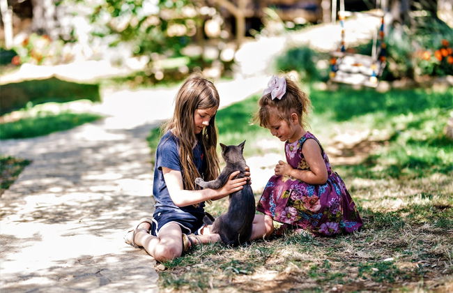 Holiday Park Tree - Foto 42