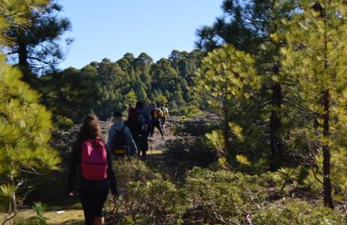 Apartamento Agaete beach 4B - Foto 15