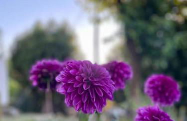 VIVA Countryside House - Foto 29