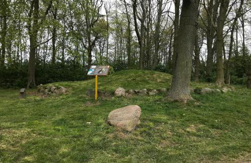 Ferienhaus Sturmfrei auf Fehmarn - Foto 39