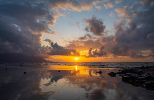 Ciuri Ciuri - Foto 56