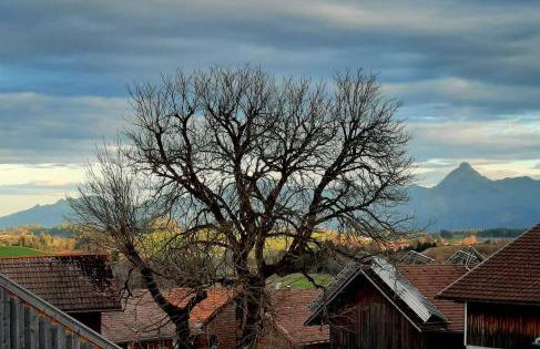 Ferienwohnungen Keller - Foto 37
