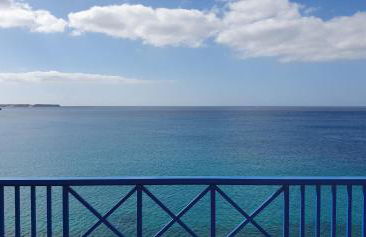 Erizo de mar - Foto 5