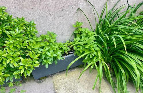 Maison "L'oeil du Prince" - Verdun Centre - Terrasse - Wifi - 7 couchages - 10 personnes - Garage Vélo et moto - Géré par PrestaZen'Services - Photo 8