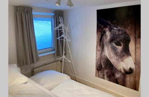 LA PETITE MAISON Fachwerkhaus am Rande des Sauerlandes in Warburg - Foto 23