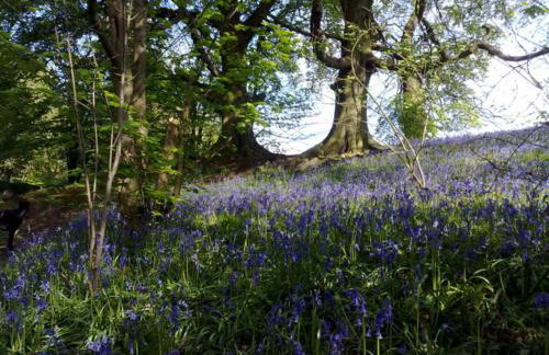 Upper Bray Cottage Badby, Daventry - Foto 17