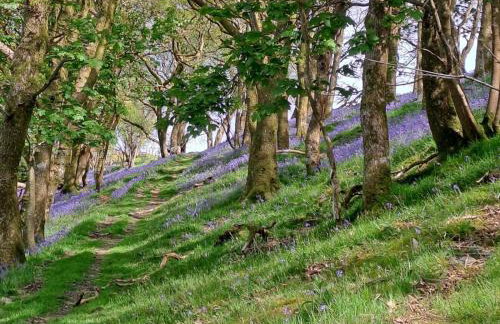 4 Bed in Llanrwst oc-52111 - Foto 30