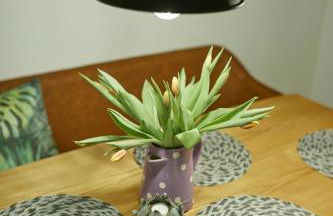 Gutshof Familie Gress - Foto 34