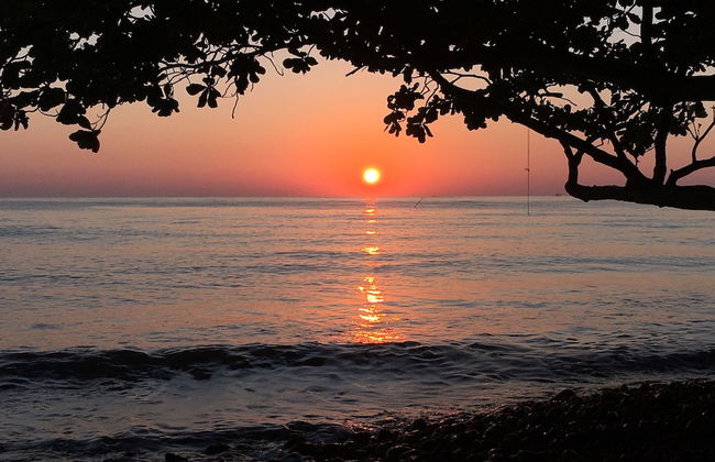 Devi's Place Tejakula - Foto 32