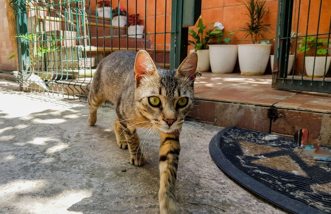 Nice & Cozy Apartments - Foto 67