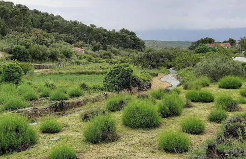 Holiday Home Antonija - Foto 42