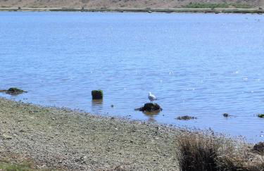 THE HIDEAWAY - LUXURY SELF CATERING COASTAL APARTMENT with PRIVATE ENTRANCE & KEY BOX ENTRY JUST A FEW MINUTES WALK TO THE BEACH, SOLENT WAY WALK, SHOPS and many EATERIES & BARS - FREE OFF ROAD PARKING,FULL KITCHEN, LOUNGE,BEDROOM , BATHROOM & WI-FI - Foto 74